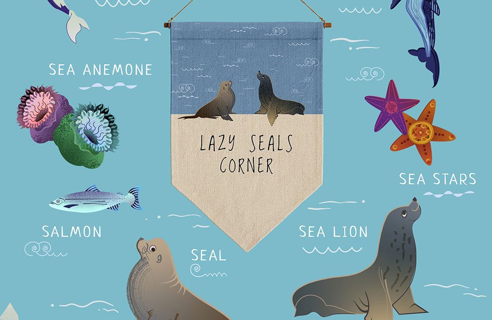thumbnail for web vancouver sea creatures algae seal sea lion orca whale humpback whale salmon sea stars