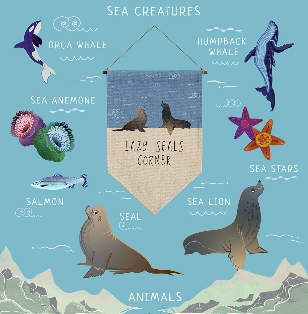 thumbnail for web vancouver sea creatures algae seal sea lion orca whale humpback whale salmon sea stars
